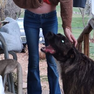 Classic Angel's Blue Women's Glitter Low Rise Waist Jeans